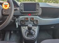 Fiat Panda 1.0 69cv firefly hybrid Cross 5 Posti | NEOPAT | Verde Foresta